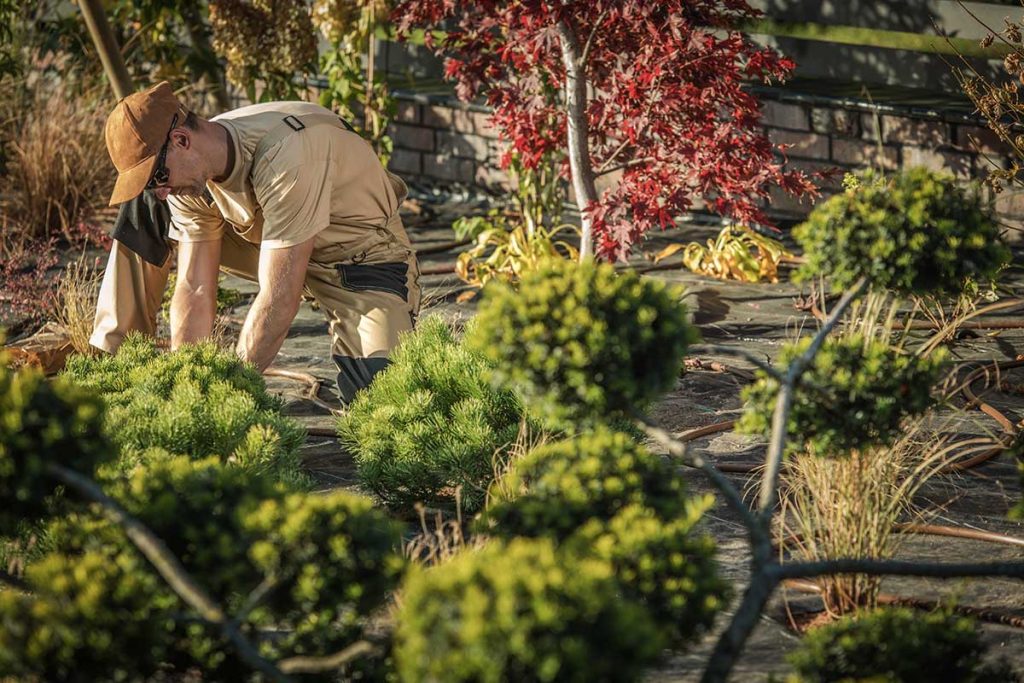 Garden maintenance