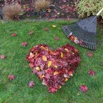 Leaf Cleanup Heart